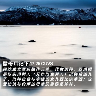 撒 母 耳 记 下 17:25 CUVS Bible Verse Image