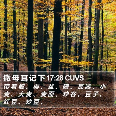 撒 母 耳 记 下 17:28 CUVS Bible Verse Image