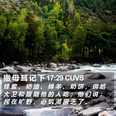 撒 母 耳 记 下 17:29 CUVS Bible Verse Image
