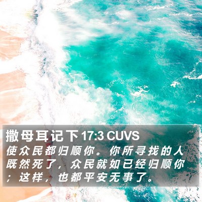 撒 母 耳 记 下 17:3 CUVS Bible Verse Image