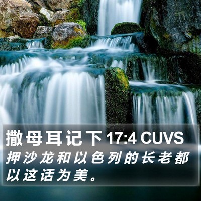 撒 母 耳 记 下 17:4 CUVS Bible Verse Image