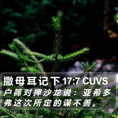 撒 母 耳 记 下 17:7 CUVS Bible Verse Image