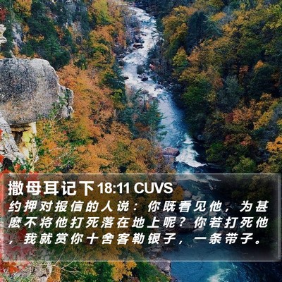 撒 母 耳 记 下 18:11 CUVS Bible Verse Image