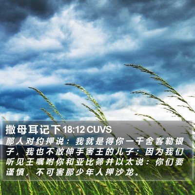 撒 母 耳 记 下 18:12 CUVS Bible Verse Image