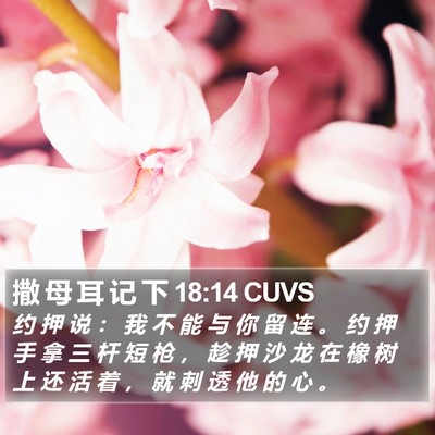撒 母 耳 记 下 18:14 CUVS Bible Verse Image