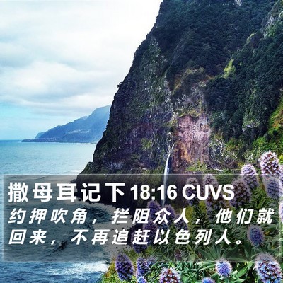 撒 母 耳 记 下 18:16 CUVS Bible Verse Image
