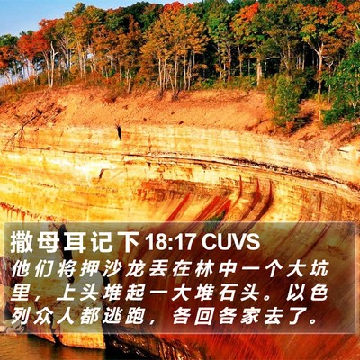撒 母 耳 记 下 18:17 CUVS Bible Verse Image