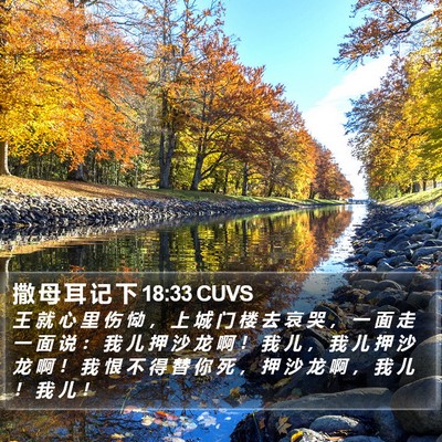 撒 母 耳 记 下 18:33 CUVS Bible Verse Image