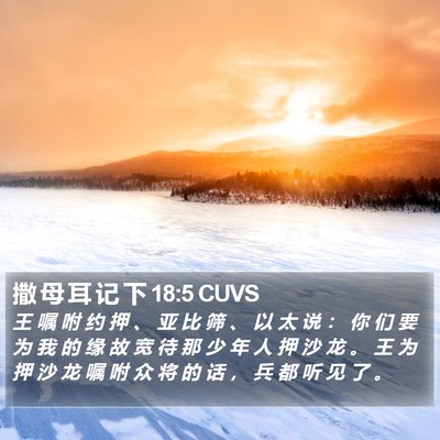 撒 母 耳 记 下 18:5 CUVS Bible Verse Image