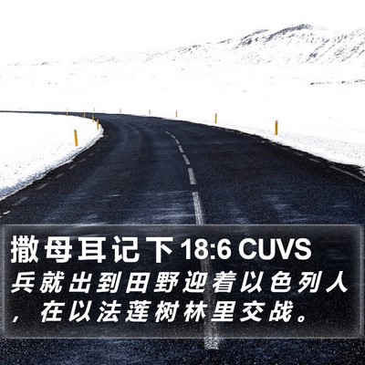 撒 母 耳 记 下 18:6 CUVS Bible Verse Image