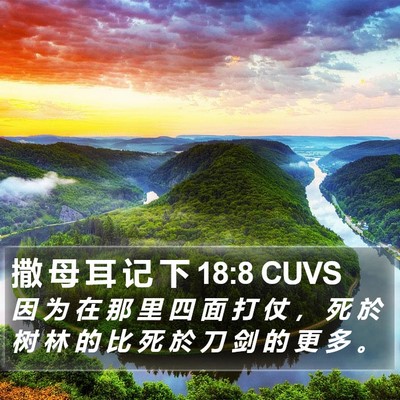 撒 母 耳 记 下 18:8 CUVS Bible Verse Image
