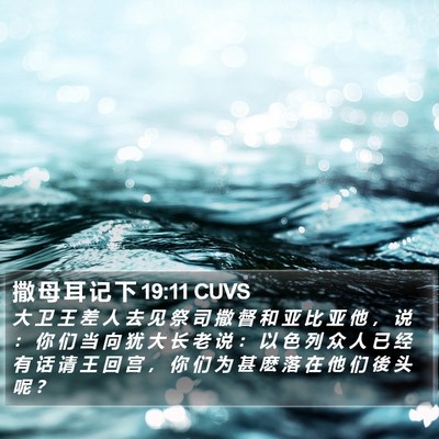 撒 母 耳 记 下 19:11 CUVS Bible Verse Image