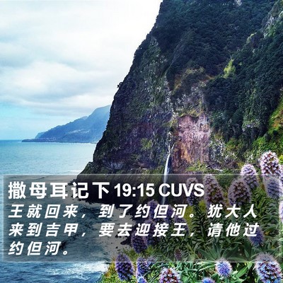 撒 母 耳 记 下 19:15 CUVS Bible Verse Image
