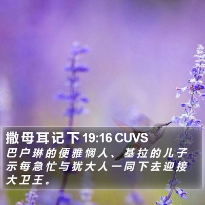 撒 母 耳 记 下 19:16 CUVS Bible Verse Image