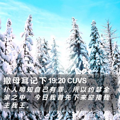 撒 母 耳 记 下 19:20 CUVS Bible Verse Image