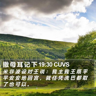 撒 母 耳 记 下 19:30 CUVS Bible Verse Image