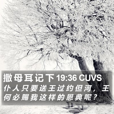 撒 母 耳 记 下 19:36 CUVS Bible Verse Image