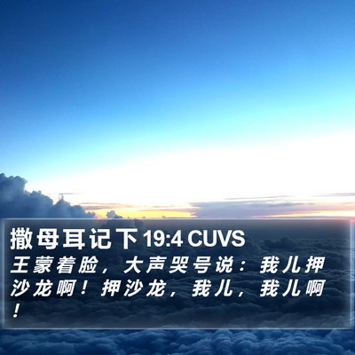 撒 母 耳 记 下 19:4 CUVS Bible Verse Image