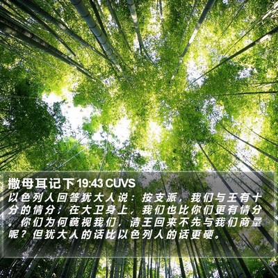 撒 母 耳 记 下 19:43 CUVS Bible Verse Image