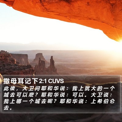 撒 母 耳 记 下 2:1 CUVS Bible Verse Image