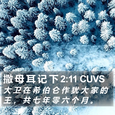 撒 母 耳 记 下 2:11 CUVS Bible Verse Image