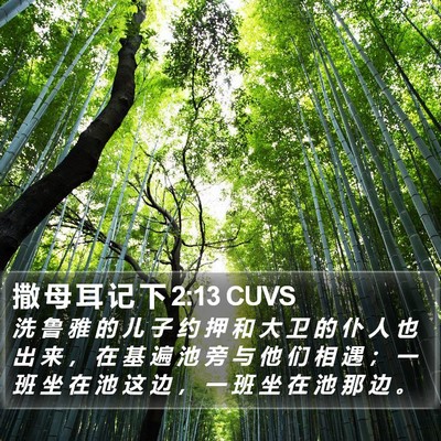撒 母 耳 记 下 2:13 CUVS Bible Verse Image