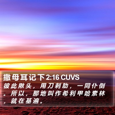 撒 母 耳 记 下 2:16 CUVS Bible Verse Image