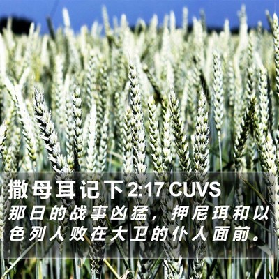 撒 母 耳 记 下 2:17 CUVS Bible Verse Image