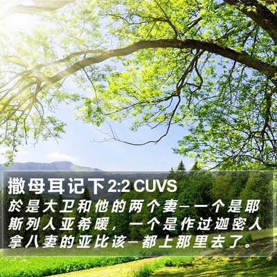 撒 母 耳 记 下 2:2 CUVS Bible Verse Image