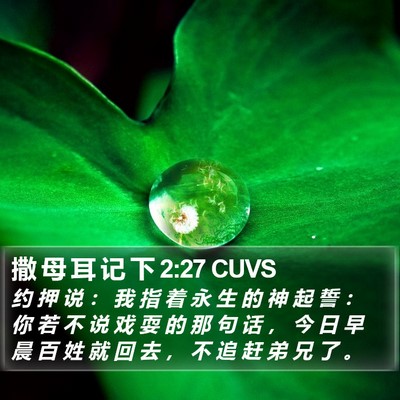 撒 母 耳 记 下 2:27 CUVS Bible Verse Image