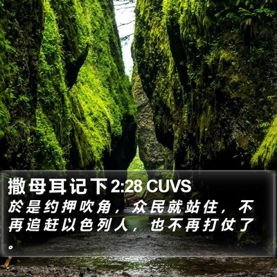 撒 母 耳 记 下 2:28 CUVS Bible Verse Image