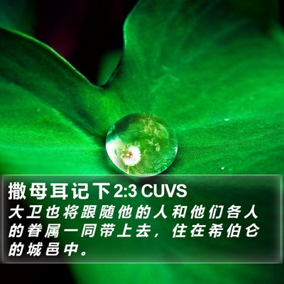 撒 母 耳 记 下 2:3 CUVS Bible Verse Image