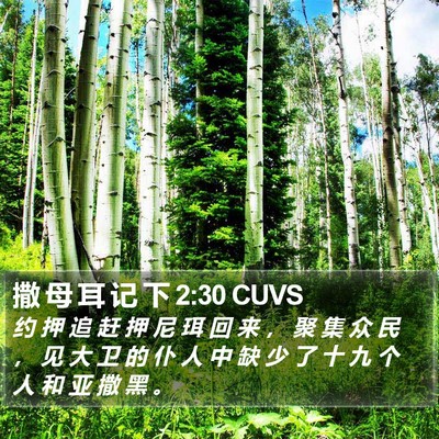 撒 母 耳 记 下 2:30 CUVS Bible Verse Image