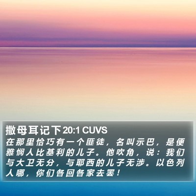 撒 母 耳 记 下 20:1 CUVS Bible Verse Image