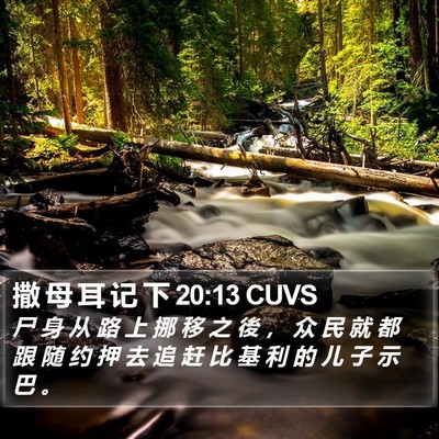 撒 母 耳 记 下 20:13 CUVS Bible Verse Image