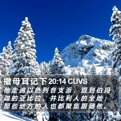 撒 母 耳 记 下 20:14 CUVS Bible Verse Image