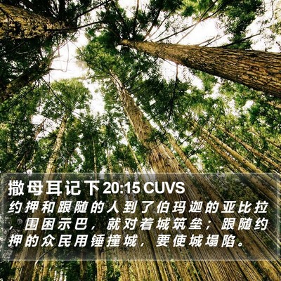 撒 母 耳 记 下 20:15 CUVS Bible Verse Image