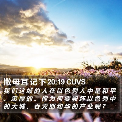 撒 母 耳 记 下 20:19 CUVS Bible Verse Image