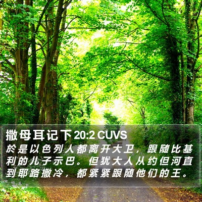 撒 母 耳 记 下 20:2 CUVS Bible Verse Image