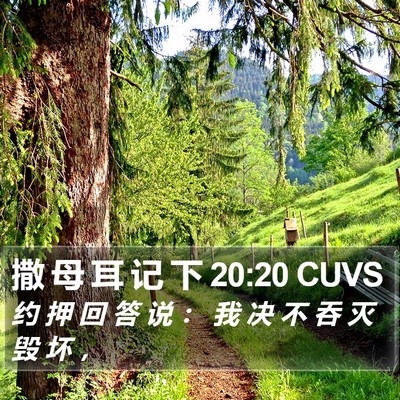 撒 母 耳 记 下 20:20 CUVS Bible Verse Image
