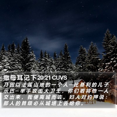 撒 母 耳 记 下 20:21 CUVS Bible Verse Image