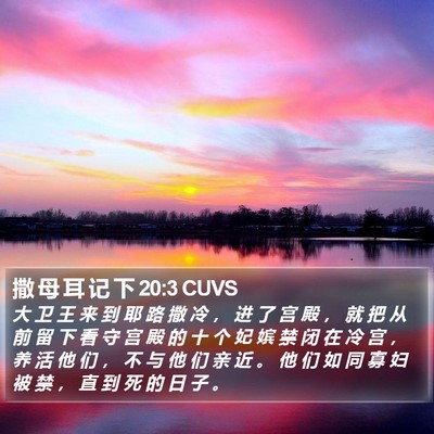 撒 母 耳 记 下 20:3 CUVS Bible Verse Image