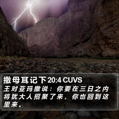 撒 母 耳 记 下 20:4 CUVS Bible Verse Image