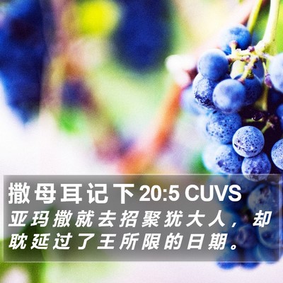 撒 母 耳 记 下 20:5 CUVS Bible Verse Image