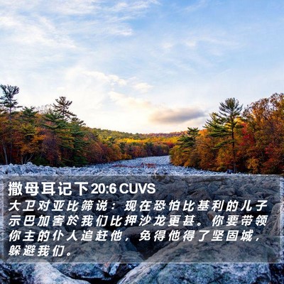 撒 母 耳 记 下 20:6 CUVS Bible Verse Image