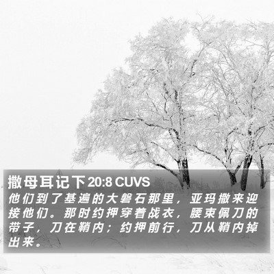 撒 母 耳 记 下 20:8 CUVS Bible Verse Image