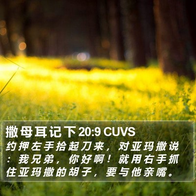 撒 母 耳 记 下 20:9 CUVS Bible Verse Image