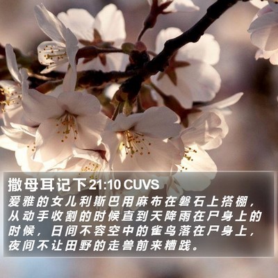 撒 母 耳 记 下 21:10 CUVS Bible Verse Image