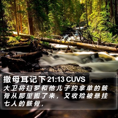 撒 母 耳 记 下 21:13 CUVS Bible Verse Image