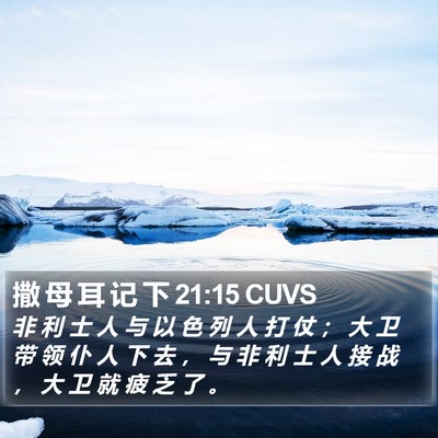 撒 母 耳 记 下 21:15 CUVS Bible Verse Image